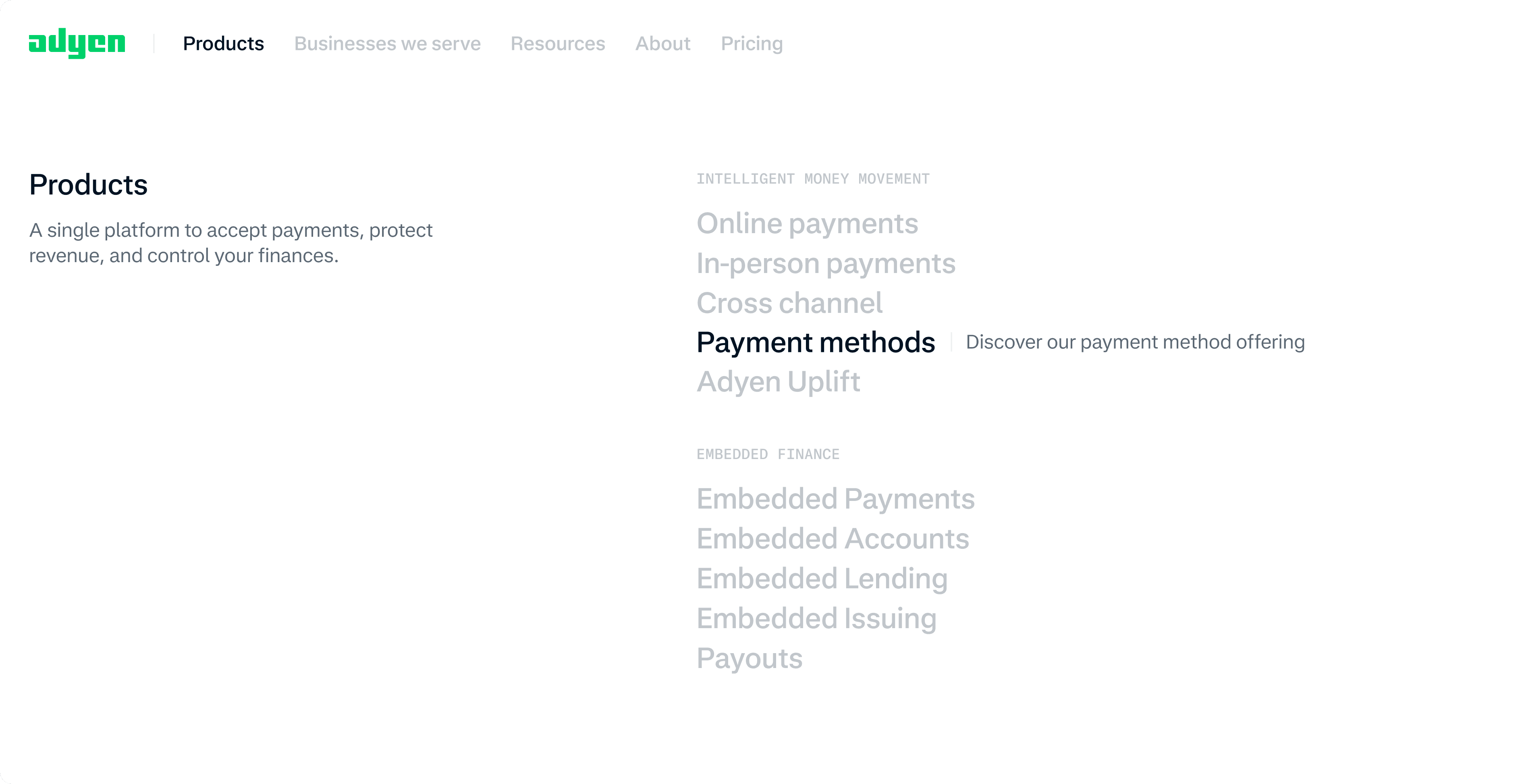 Adyen widescreen product interface mockup