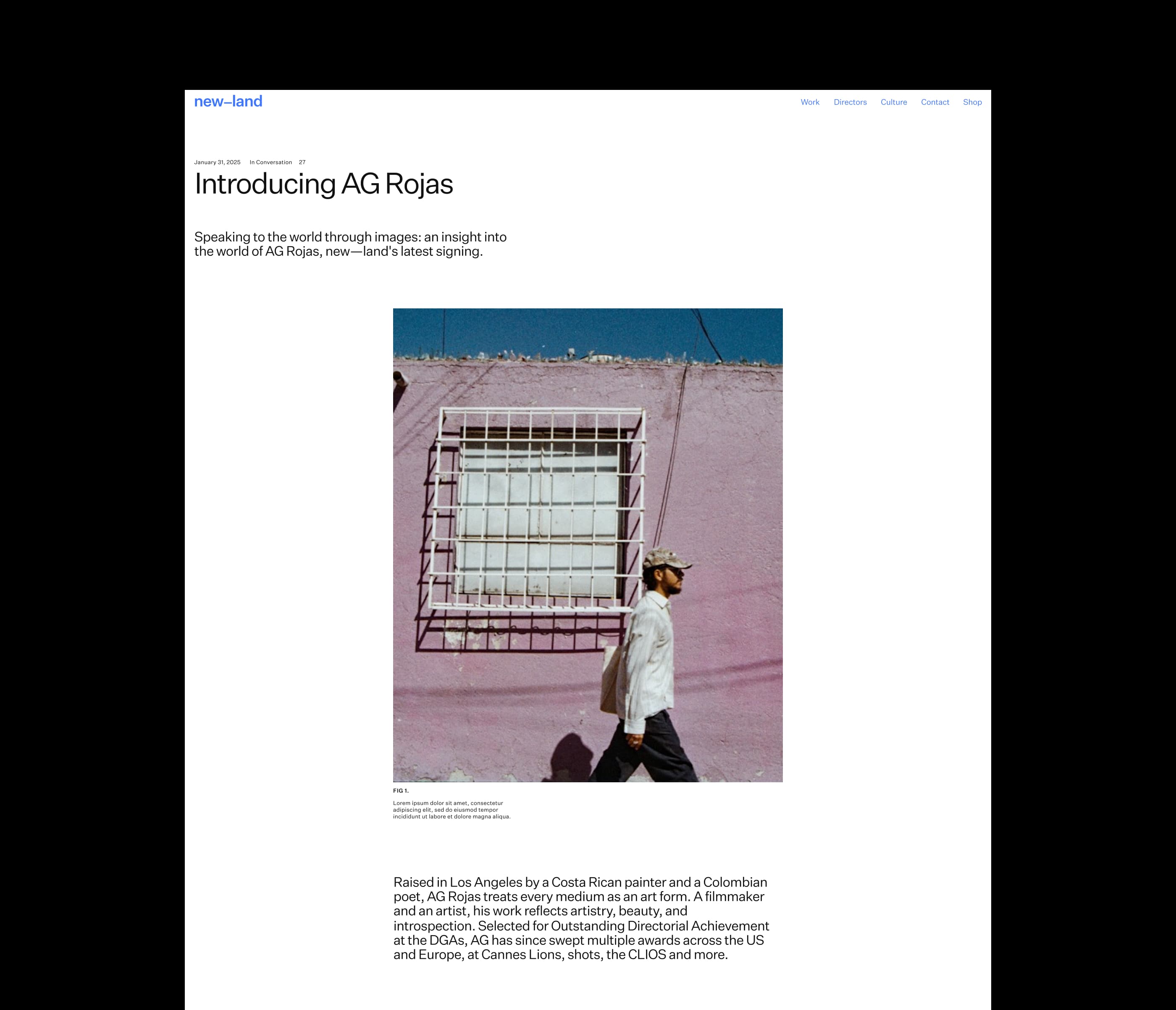 New Land culture article page